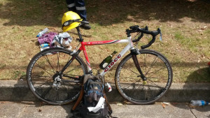 Ciocc  Maestro Special Edition 2005 