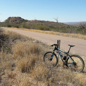 Bergamont  Revox 8.3 2013 