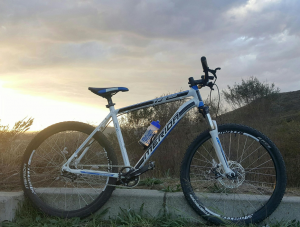 Merida TFS 300 2010 