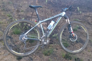 Silverback Sola 3 2014 