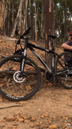 Silverback Spectra Sport 2015 