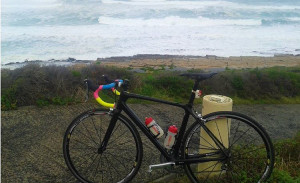 Giant TCR 2015 