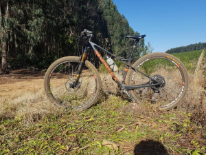 Silverback Superspeed 2018 