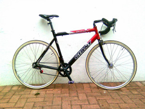 Giant OCR1 2003 