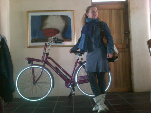 Sparta transport bicycle 2015 