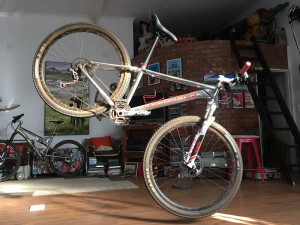 Silverback Segma 2013 