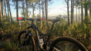 Specialized Stumpjumper 2016 