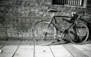 Gazelle Champion A 1995 