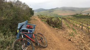 Specialized Rockhopper Comp 29" Hardtail 2014 