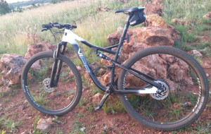 Momsen Vipa 2018 
