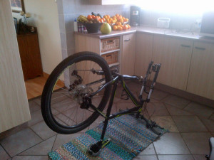 Silverback  Spectra 2013 
