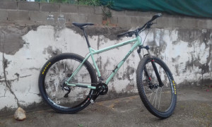 Surly Karate Monkey 2015 