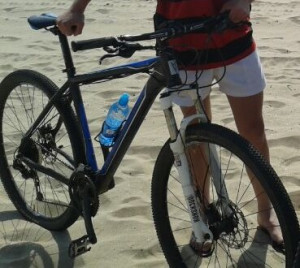 Silverback Vida 3 2013 