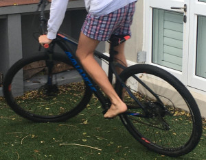 Avalanche Reflex 2 2019 