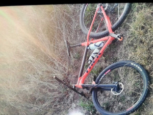 Trek Roscoe 8  2019 