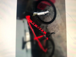 Trek Marlin 7 2019 