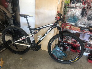 Raleigh Soft tail 29er 