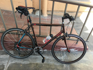 Schwinn Commuter 2003 