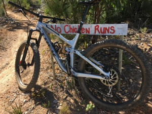 Trek Fuel EX8 2017 