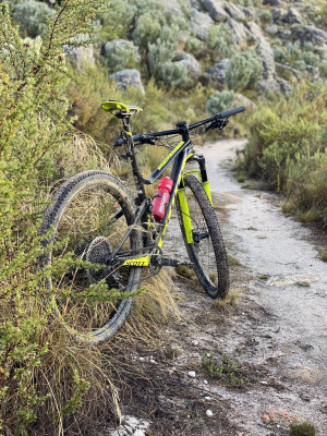 Scott  Spark RC Team 2019 
