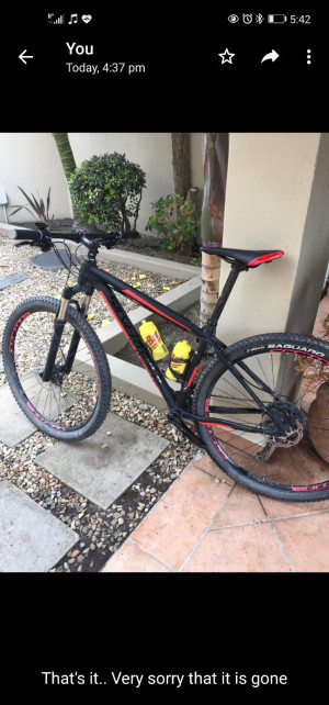Silverback Sola1 2017 