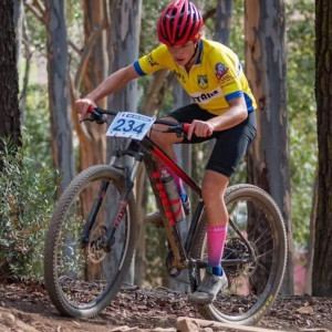 Trek Roscoe 7 2018 