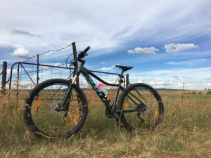 Scott Contessa 2016 
