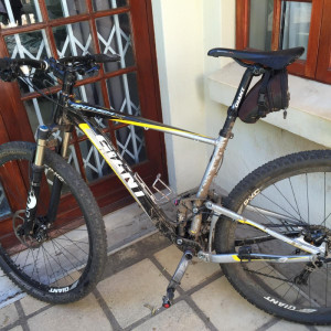 Giant Anthem X1 2013 