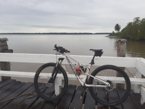 ROCKY MOUNTAIN  Element 950 RSC 2016 