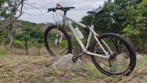 Trek 69er 2010 