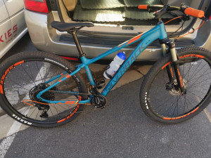 Silverback Stride SX 2019 