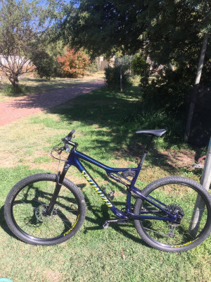 Specialized Epic 2019 