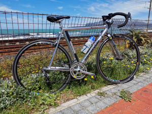 Cannondale Vintage 1990 