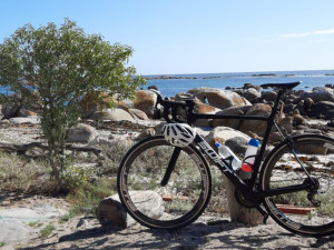 Swift Ultravox 2016 