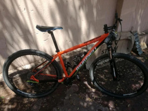 Momsen AL229 - RaceTech 2 29er 2016 