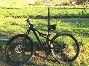 Specialized Camber 2018 