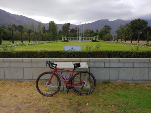Specialized DIVERGE COMP CARBON 2020 