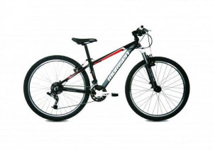 Momsen Jr 100 2013 