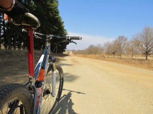 Silverback Vida 2 2012 