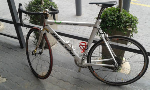 Starsky - 2011 