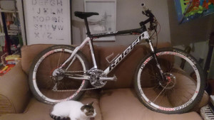 raleigh RMX0 2008 