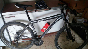 Silverback Spectra Comp 29er 2015 
