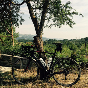 CANYON Endurace CF 8.0 2015 