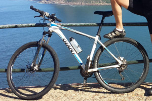Giant Athlon 2010 