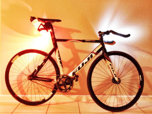 Fuji Track Pro 2008 