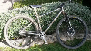 Steel Hardtail 29er 2015 