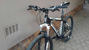 Silverback Alpine 2010 