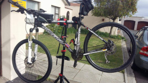 Silverback Spectra 2010 