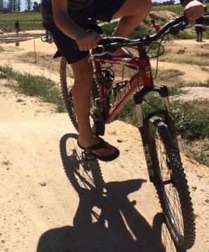 Schwinn 405 2013 