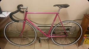Zini Cicli 1987 